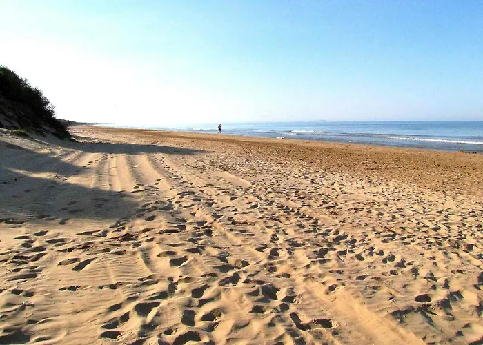 Marina Few Mt From Apartment *